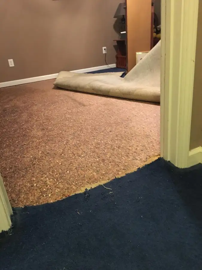 Carpet pad removal revealing water damage during Water Mitigation Services in Islamorada, Village of Islands