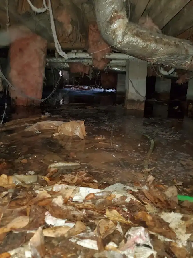 Crawl space flood assessment for Leak Detection & Repair in Islamorada, Village of Islands